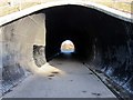 Underpass under the A69