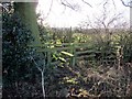 Stile south of Heddon Birks