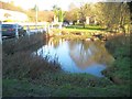 Hedgerley: The Village Pond