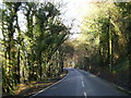 SN3239 : Bend in the road heading for Newcastle Emlyn by Martyn Harries