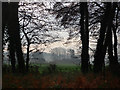 View towards Horsepasture Farm