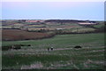 Wolds escarpment from Wood Farm