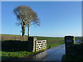 The entrance to Marridge Farm, near Ugborough