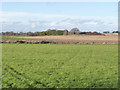 Landscape off Heck Lane