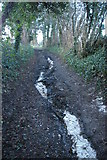 TQ4363 : Path scoured by runoff, Bogey Lane, between Farnborough and Downe by Christopher Hilton