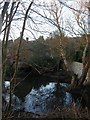 Old Farm Pond, East Dean