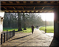 Path, Tooting Bec Common (2)