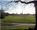 Tooting Bec Common (4)