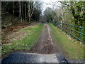 Richard Burton Trail NW of a viaduct, Pontrhydyfen