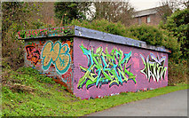 J3470 : Graffiti, Lagan towpath, Stranmillis, Belfast (December 2013) by Albert Bridge