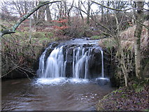 NS5975 : Waterfall on the Branziet Burn by G Laird