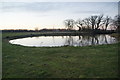 Pond near Brook Hall Farm