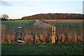 Fields in front of Railway Wood