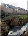 Flats at the southern edge of Duffryn, Newport