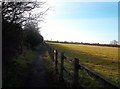 Coffin Walk near Wilne Cross