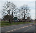 Bare trees in late April, Huntley