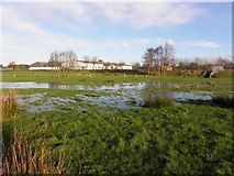 H4373 : Flooding at Mullaghmenagh Upper by Kenneth  Allen