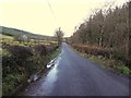 H3170 : Glen Road, Coolavannagh by Kenneth  Allen