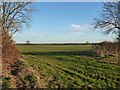 Gap in the field boundary hedge, south of Heath Lane