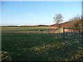 Eastern edge, arable field, Ponton Heath