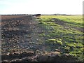 Field boundary south of Heath Lane