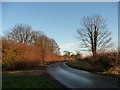 Hedge on the north side of Heath Lane