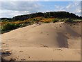 High Sand Dune