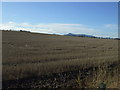 Stubble field, East Fingusk