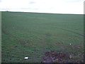 Farmland off the B6164