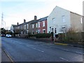 Whorlton Terrace, North Walbottle Road