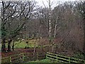 Sheep pasture at Cnwch Coch