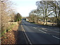 Wetherby Road (A58) 