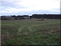 Farmland, Northlands Farm