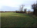 Farmland off the B1224