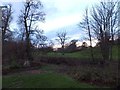 Fields and beds at Forde Abbey