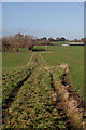 Footpath running towards Stakes Lane