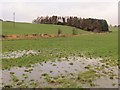 Flooded field, Balcanquhal