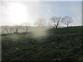 SK0464 : Rough grazing at Merril Grove Farm by Dr Duncan Pepper