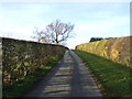 Track (footpath) towards Walkingham Hill Farm