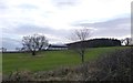 Farm buildings at Eshottheugh