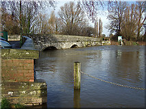 SZ1393 : Jan 2014: the flooded River Stour at the old Iford Bridge (1) by Mike Searle