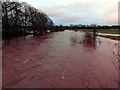 The Kinnel Water in flood