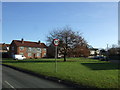 Village green, Staveley