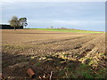 Farmland, Grange Farm