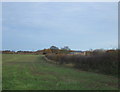 Farmland and hedgerow, Thorpe Grange