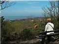 The view from Caldy Hill