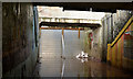 J3675 : Subway, Victoria Park, Belfast (8) by Albert Bridge