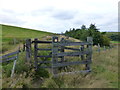 Kissing Gate on path to Hollingwoth Fold