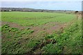 SW5935 : Farmland footpath by Philip Halling
