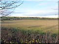 Arable land north of North Walbottle